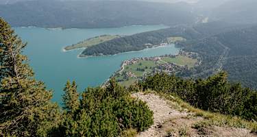 Blick vom Herzogstand auf den Walchensee in Bayern.