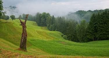 Thurgau