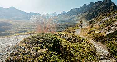 Mountainbiken Singletrail Schweiz