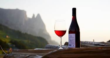 Wein am Berg