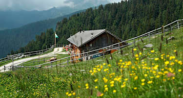 Rifugio Malga Conseria in der Val Campelle