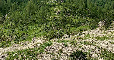 Rifugio Pellarini