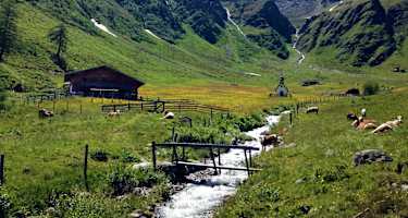 Gölbnerblickhütte im Kristeinertal bei Anras