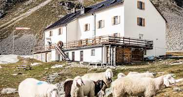 Die Düsseldorfer Hütte in Südtirol