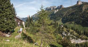 Die Hundsteinhütte