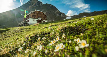 Guttenberghaus