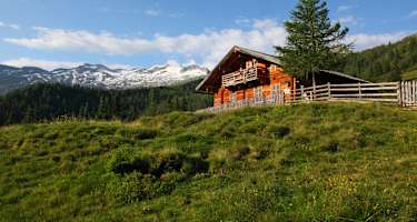 Die Modereggalm