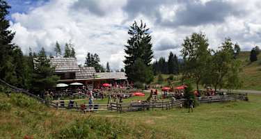 Die Naggler Alm