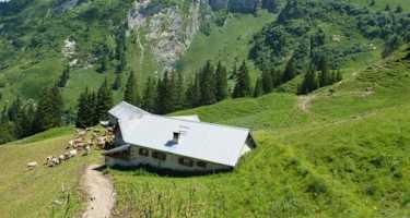 Foto Nüenalp