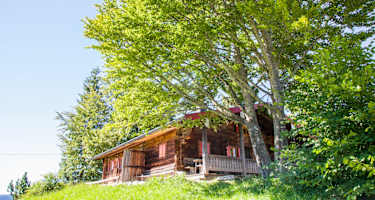 Die Winkelmoosalm-Hütte steht, wie auch die Winklmooshütte, auf der Winkelmoosalm, idyllisch in den Chiemgauer Bergen an der deutsch-österreichischen Grenze in Bayern.