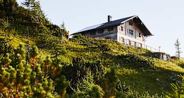 Das Zeppezauerhaus von unten