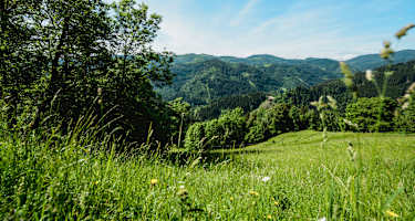 Übelbach, Gleinalm