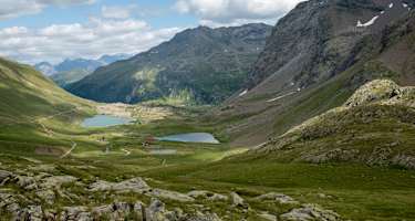 Viola Hütte