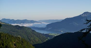 Blick auf Wolfgangsee