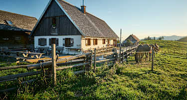 Die Alm im Reichraminger Hintergerbirge