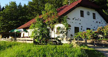 Eidenberghaus