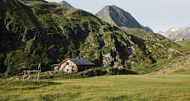 Alpein Alm