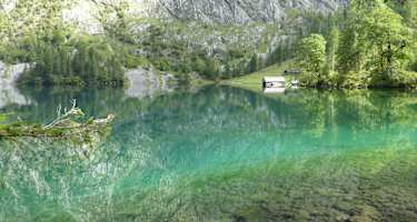Fischunkelalm