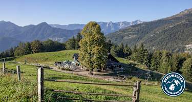 Die Hoisnrad Alm oberhalb von Bad Ischl im Salzkammergut.