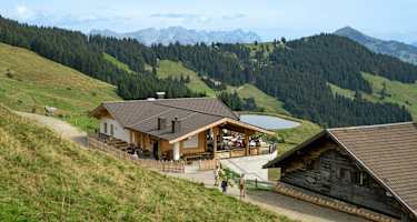 Die Holzalm in den Kitzbüheler Alpen