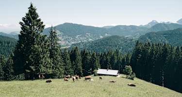 Die Kreuzbergalm auf 1.223m Höhe