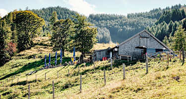 Lärchenhütte am Zwölferhorn