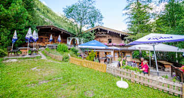 Laponesalm