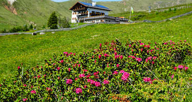 Die Meraner Hütte oberhalb von Meran