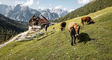 Plumsjochhütte
