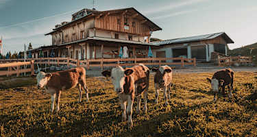 Das Straubinger Haus liegt in den Chiemgauer Alpen auf Tiroler Boden und nordwestlich des Fellhorns.
