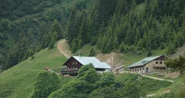 Thaurer Alm