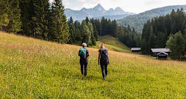 Auf dem Weg zur Wildmoosalm