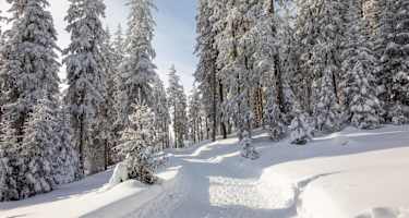 Winterwandern Harbe im Kaunertal