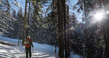 Winterwunderland