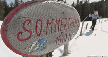 Am Sommertörl, 1644 m, ist schon unser Tourenziel auszumachen, das Gipfelkreuz des Rosenkogels.