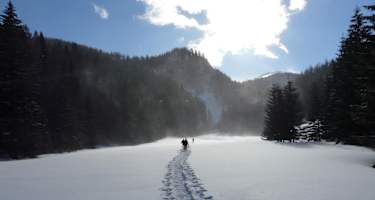 Vom Parkplatz an der Seebergalm führt der Wanderweg zum Seebergsattel in Richtung Westen.