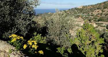 Meerblick in Deià
