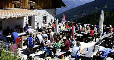 09-08-seigesalm