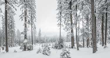 Winterlandschaft in Niederbayern