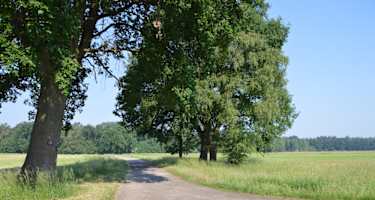 Entlang des Weges