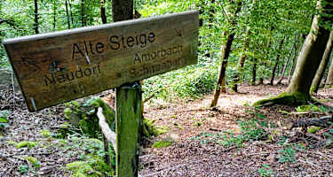 Waldromantikweg