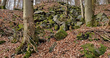 Felsenmeer-Rundweg Lautertal