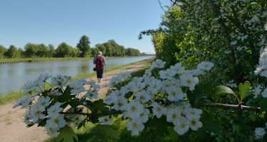 Am Mittellandkanal