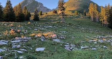 Im Aufstieg zum Selun, links der Frumsel