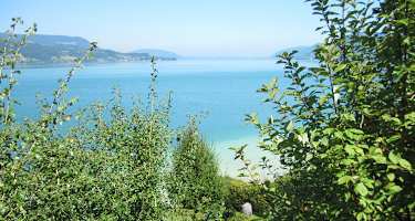 Blick auf den Attersee