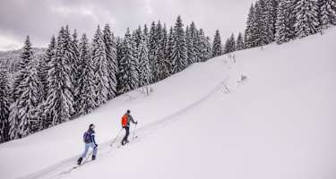 Skitour aufs Wieserhörndl