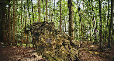 Am Siriuskogel