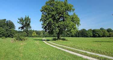 Auf der Großen Donaurunde Eckartsau