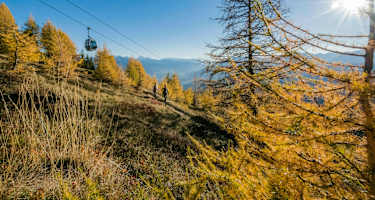 Die Almwanderung ist besonders im Herbst lohnend
