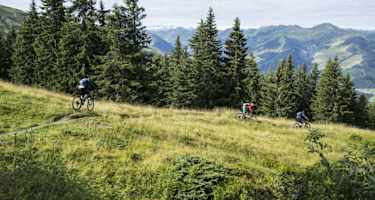 Fleckalmtrail